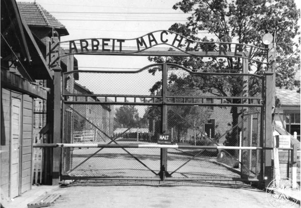 81 Years Since the Liberation of Auschwitz: When the German “Death Factory” Fell&nbsp;Silent.