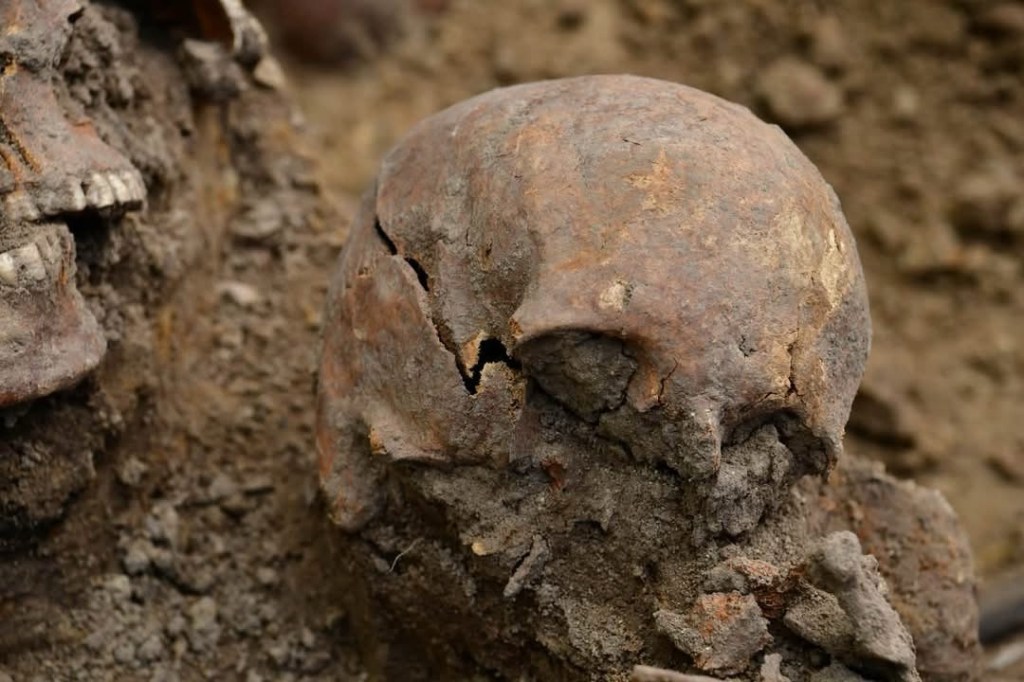 Exhumations Underway in Ostrówki and Wola Ostrowiecka: The Institute of National Remembrance Uncovers New Victims of the Volhynia Massacre that were carried out by Ukrainian nationalists from the Organization of Ukrainian Nationalists (OUN) and the Ukrainian Insurgent Army (UPA) on 30 August&nbsp;1943.